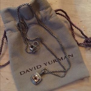 Petite Albion Pendant with Morganite on Chain